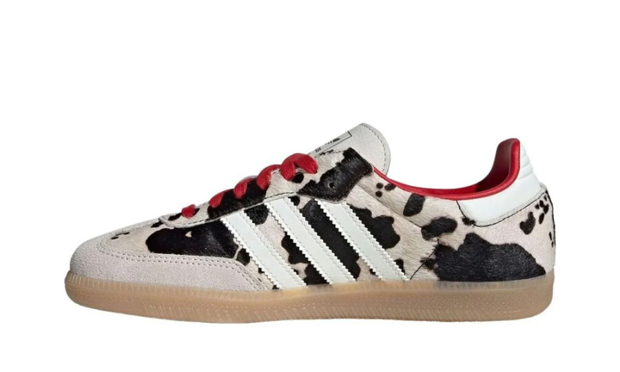 Shoes image