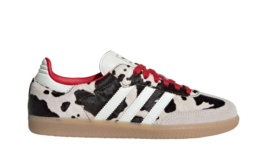 Shoes image