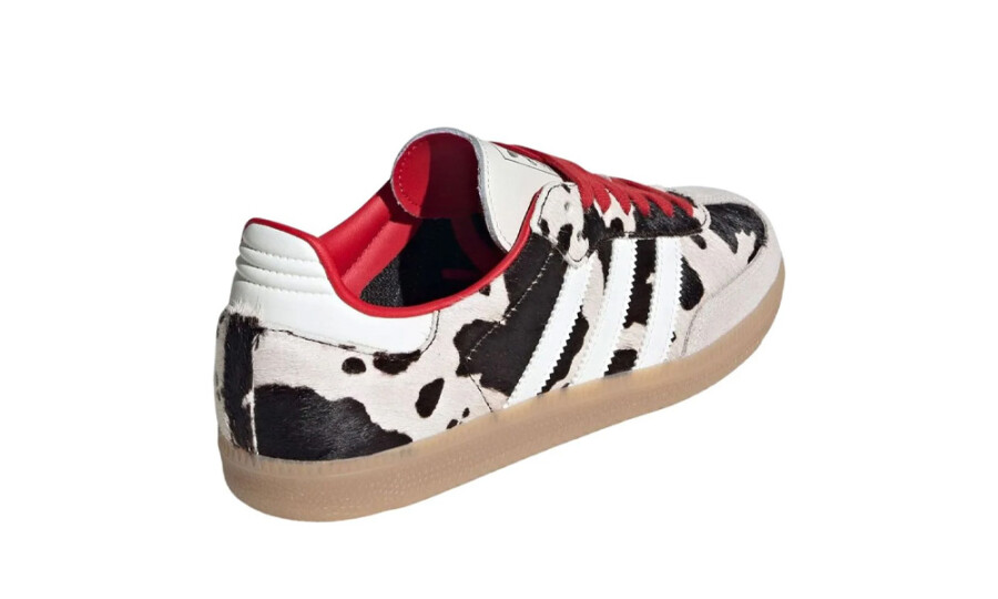 Shoes image