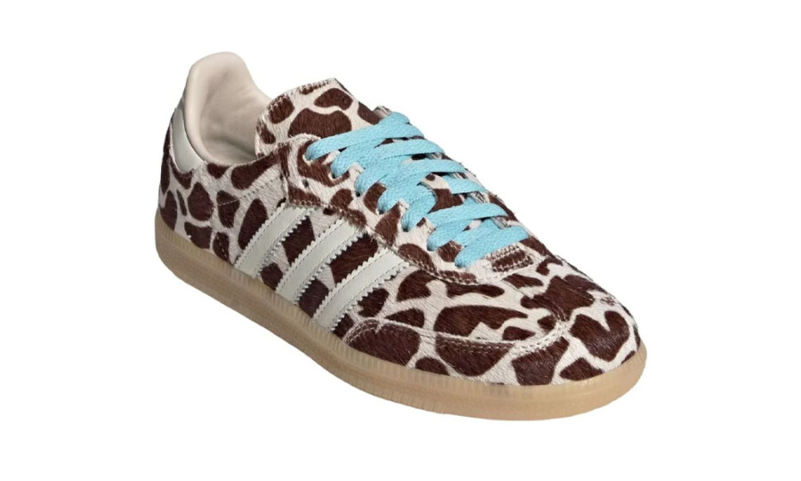 Shoes image