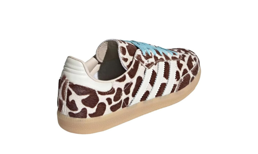 Shoes image