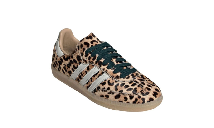 Shoes image