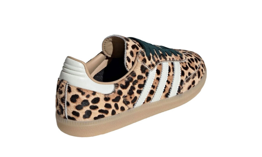 Shoes image