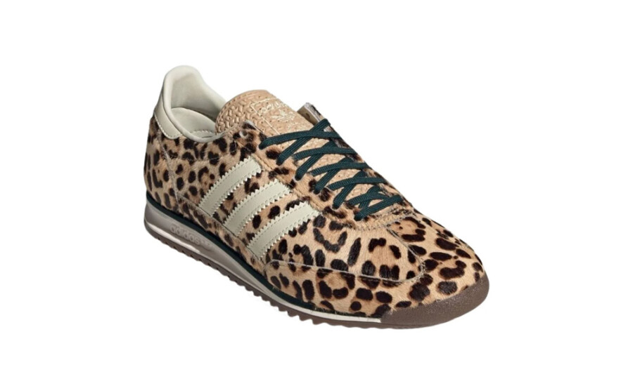 Shoes image