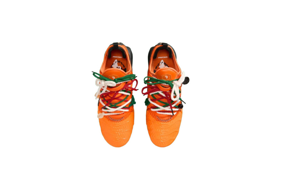 Shoes image
