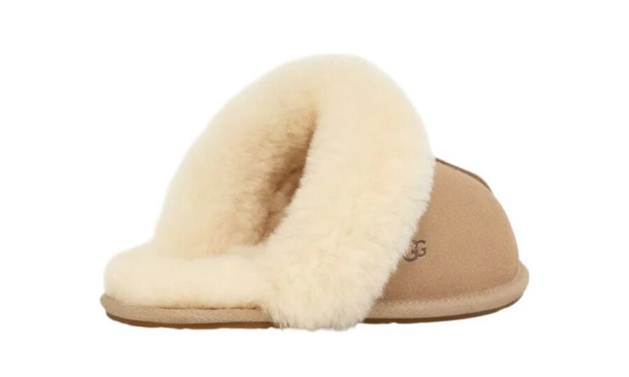 Shoes image