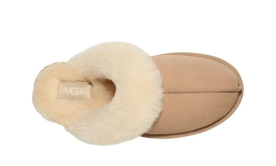 Shoes image